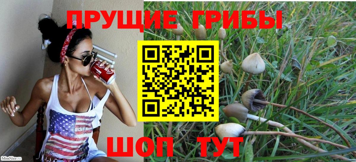 Псилоцибиновые грибы Psilocybine cubensis  Вход с VPN  Моздок 
