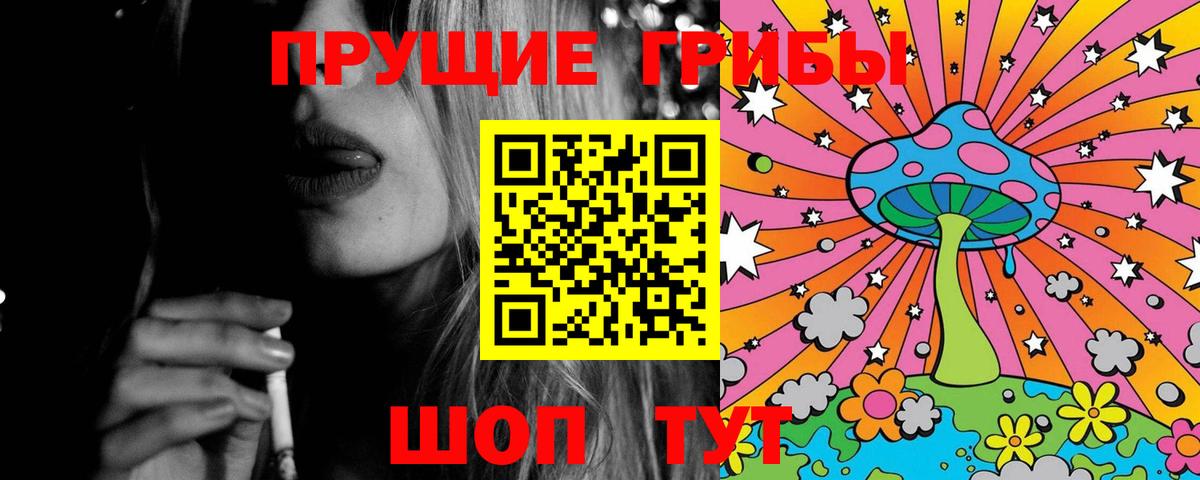 Псилоцибиновые грибы GOLDEN TEACHER Моздок